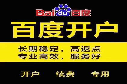 行业标杆：SEM推广代运营成功案例